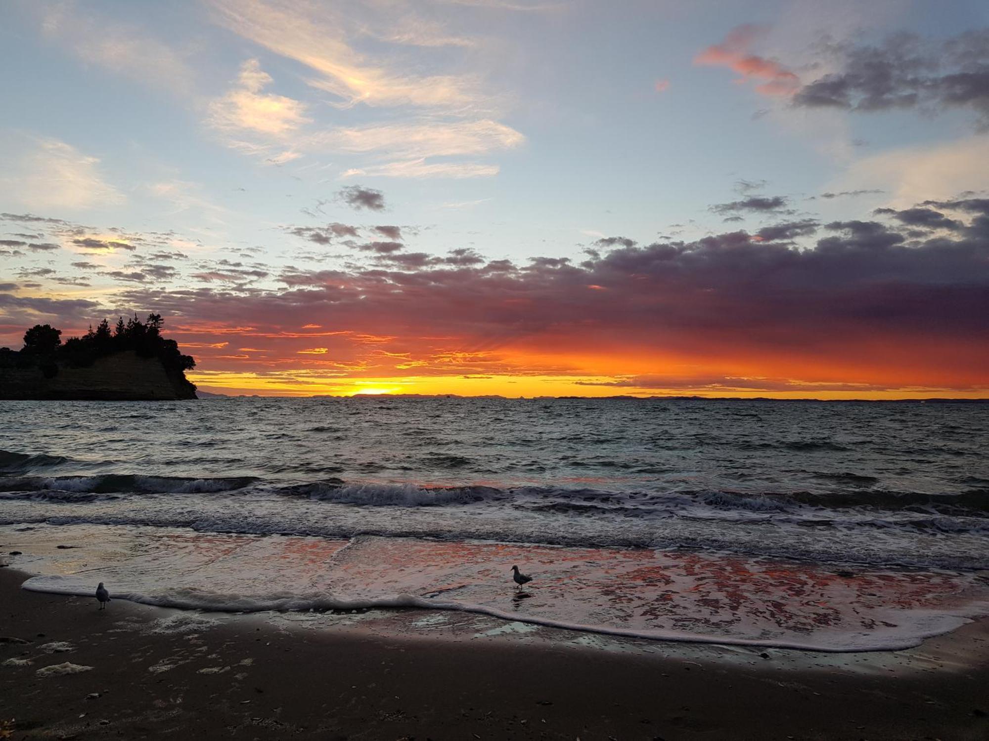 Whangaparaoa Lodge Exteriör bild